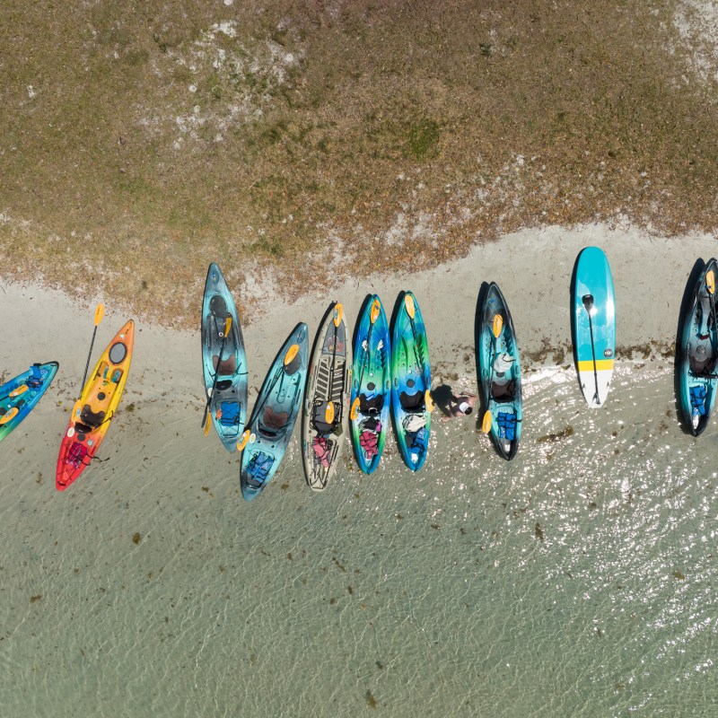 a group of people on a beach holding a surfboard