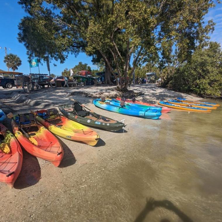a group of people on a beach near a body of water