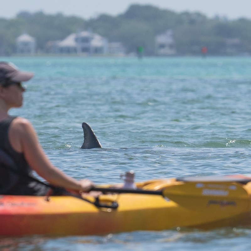 a person riding on the back of a boat in the water