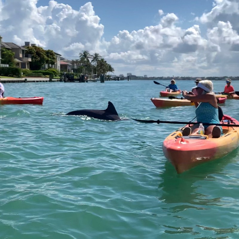 a group of people riding on the back of a boat in the water